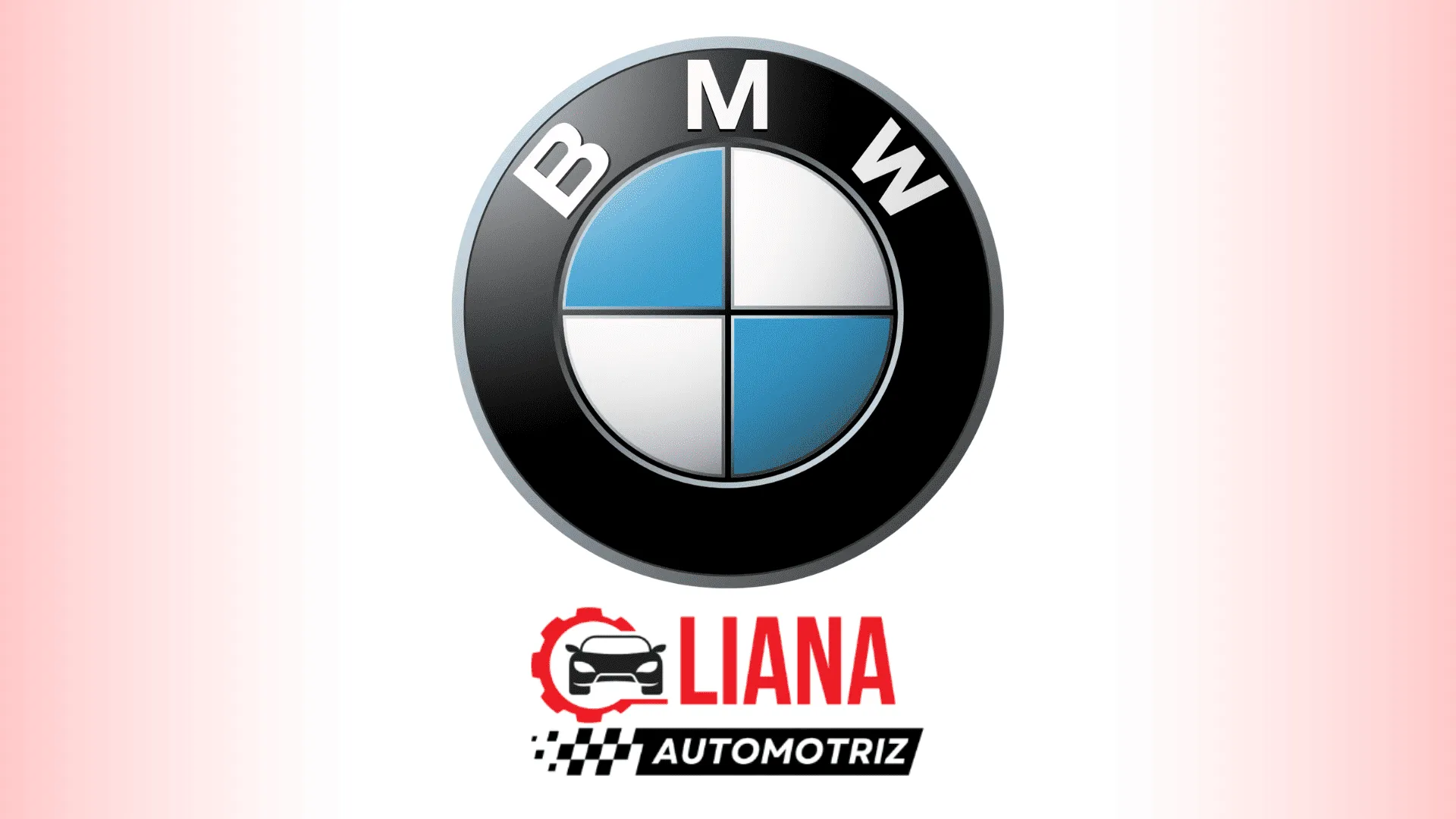 Manuales técnicos BMW OEM