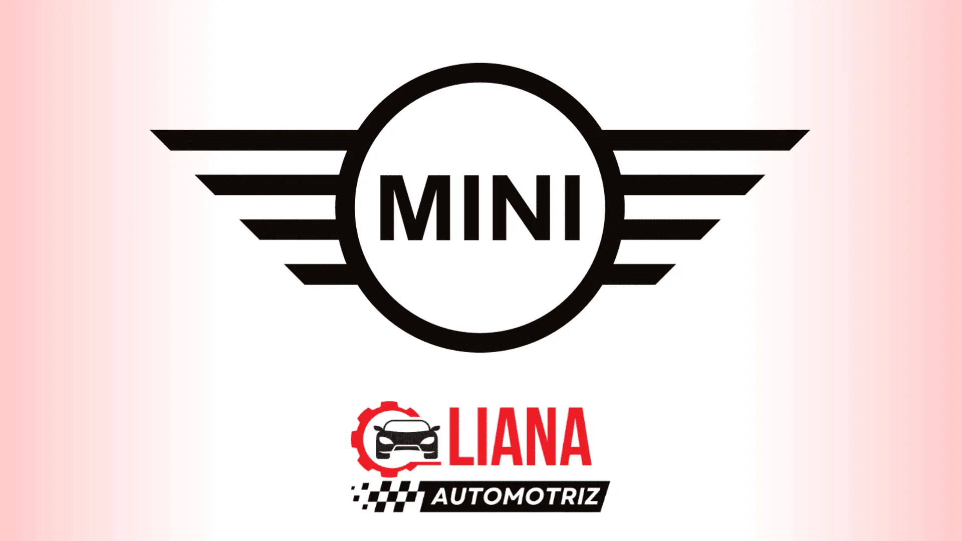Manuales técnicos Mini OEM