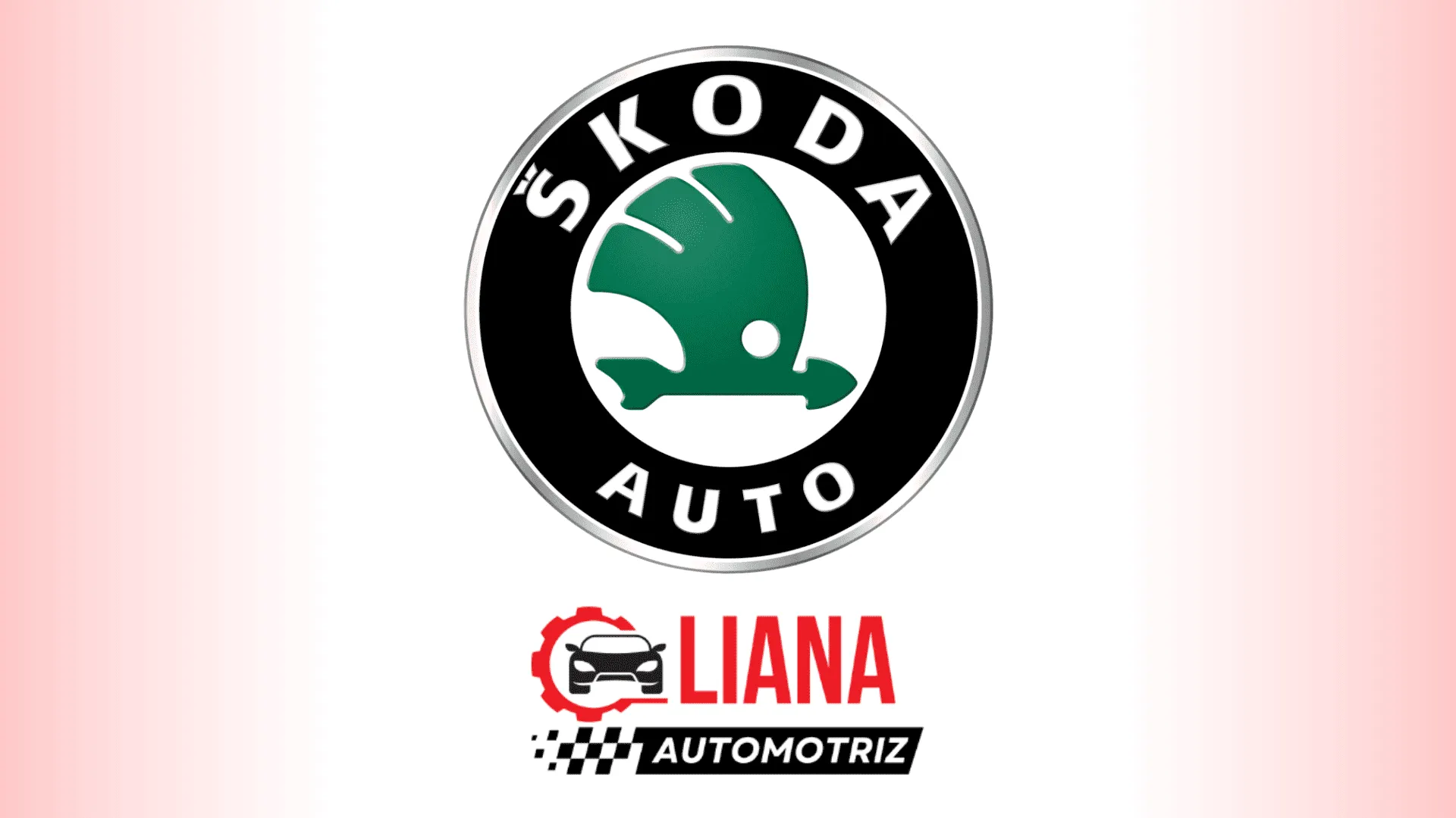 Manuales técnicos Skoda OEM